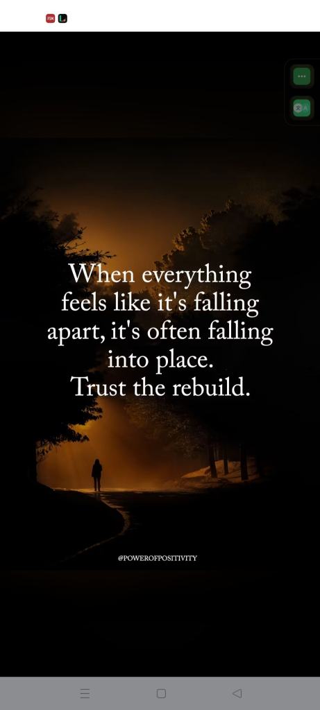 FSM 文 ZA When everything feels like it's falling apart, it's often falling into