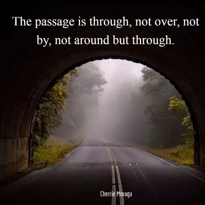 The passage is through, not over, not by, not around but through. Cherrie Moraga